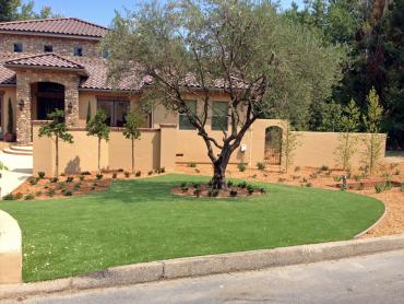 Synthetic Lawn Ontario, California Lawn And Garden, Front Yard Landscaping artificial grass