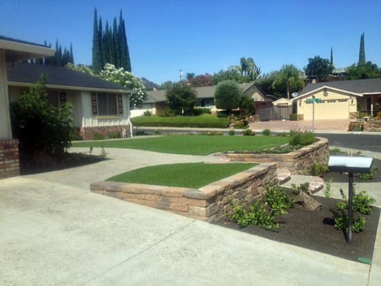 Artificial Grass Photos: Synthetic Lawn Pharr, Texas Design Ideas, Front Yard Landscaping