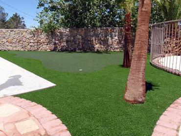 Artificial Grass Photos: Synthetic Lawn Santa Barbara, California Landscape Photos, Backyard Landscaping