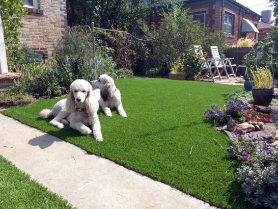 Artificial Grass Photos: Synthetic Lawn Schaumburg, Illinois Landscape Ideas,  Dog Kennels