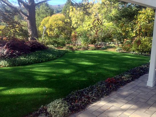 Artificial Grass Photos: Synthetic Lawn Waldorf, Maryland Lawn And Landscape, Small Backyard Ideas