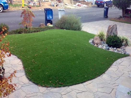 Artificial Grass Photos: Synthetic Lawn Walnut Creek, California Landscaping