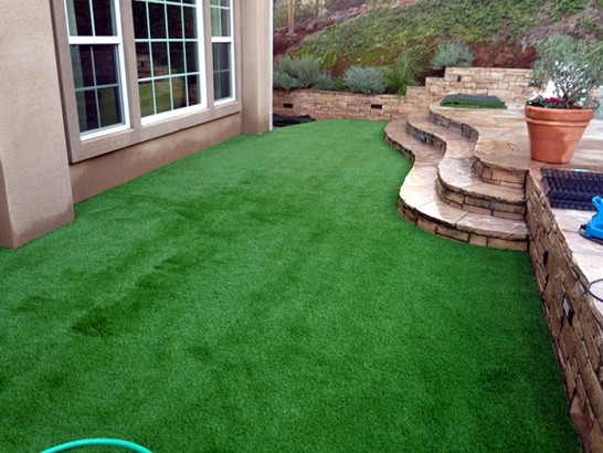 Artificial Grass Photos: Synthetic Turf Jackson, New Jersey Design Ideas, Backyard Garden Ideas