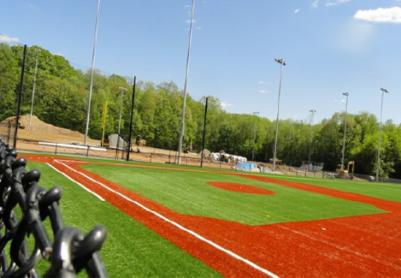 Artificial Grass Photos: Synthetic Turf Lexington, Kentucky Red Turf