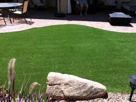 Artificial Grass Photos: Synthetic Turf Lynchburg, Virginia Landscape Ideas, Beautiful Backyards