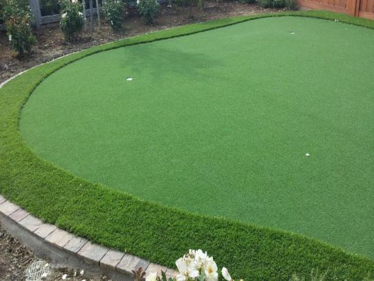 Artificial Grass Photos: Synthetic Turf North Port, Florida Indoor Putting Greens, Backyard Landscaping Ideas