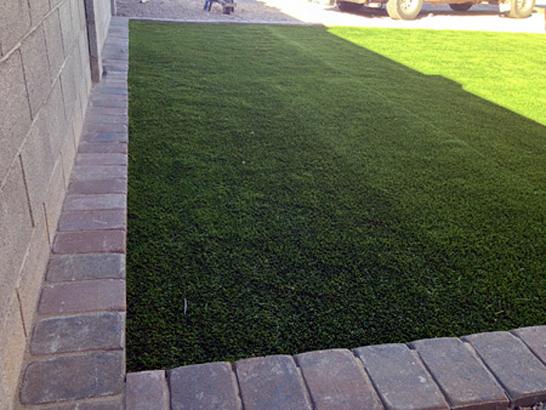 Artificial Grass Photos: Synthetic Turf South Whittier, California Dog Pound, Front Yard Landscaping