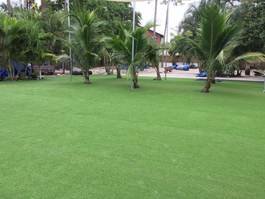 Artificial Grass Photos: Synthetic Turf Supplier Albany, Oregon Lawn And Garden, Commercial Landscape