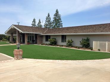 Artificial Grass Photos: Synthetic Turf Supplier Cape Coral, Florida Rooftop, Front Yard