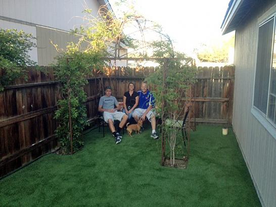 Artificial Grass Photos: Synthetic Turf Supplier Casas Adobes, Arizona Dog Pound, Backyard Designs