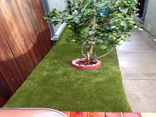 Artificial Grass Photos: Synthetic Turf Supplier Chicopee, Massachusetts Rooftop, Backyard Designs