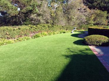 Artificial Grass Photos: Synthetic Turf Supplier Columbia, South Carolina Garden Ideas, Front Yard Landscaping