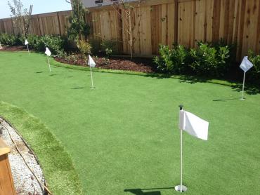 Artificial Grass Photos: Synthetic Turf Supplier Escondido, California Paver Patio, Backyards