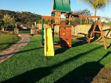 Artificial Grass Photos: Synthetic Turf Supplier Milwaukee, Wisconsin Landscaping Business, Backyard Landscaping Ideas
