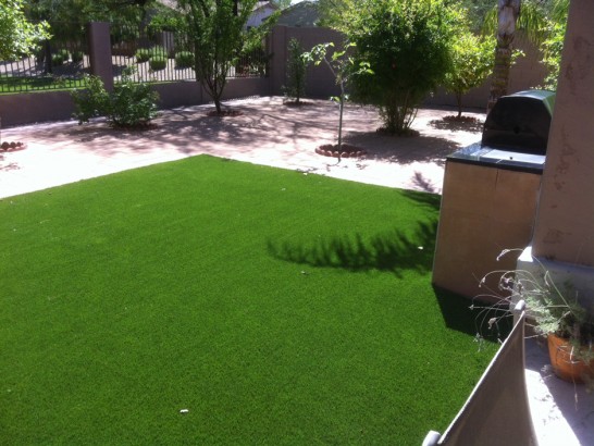 Artificial Grass Photos: Synthetic Turf Supplier Noblesville, Indiana Backyard Deck Ideas, Backyards