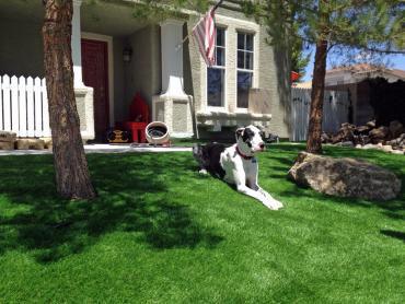 Artificial Grass Photos: Synthetic Turf Supplier North Peoria, Illinois Design Ideas, Dogs Runs
