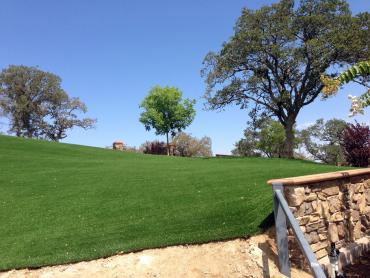 Artificial Grass Photos: Synthetic Turf Supplier Peoria, Arizona Rooftop, Front Yard Design