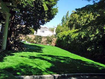 Artificial Grass Photos: Synthetic Turf Supplier Riverside, California Roof Top, Small Backyard Ideas