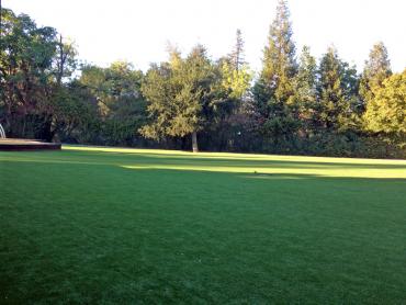 Artificial Grass Photos: Synthetic Turf Supplier Salem, Oregon Roof Top, Parks