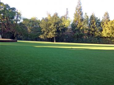 Artificial Grass Photos: Synthetic Turf Supplier Salem, Oregon Roof Top, Parks
