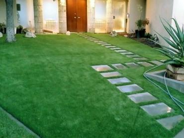 Artificial Grass Photos: Synthetic Turf Supplier Suffolk, Virginia Garden Ideas, Landscaping Ideas For Front Yard