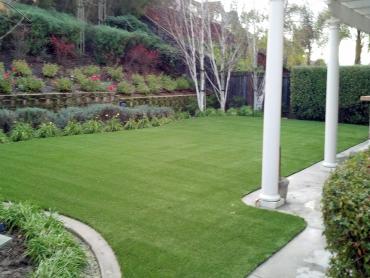 Artificial Grass Photos: Synthetic Turf Supplier West Covina, California Dog Pound, Backyard Garden Ideas