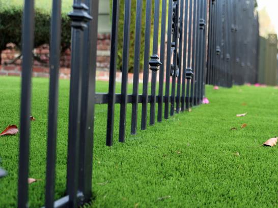 Artificial Grass Photos: Synthetic Turf Tinley Park, Illinois Lawn And Landscape, Front Yard