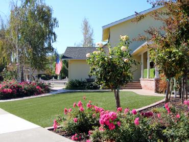 Artificial Grass Photos: Synthetic Turf Troy, Michigan Landscape Photos, Front Yard Landscaping