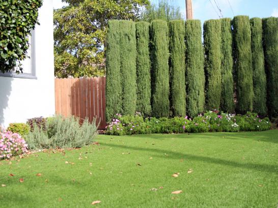 Artificial Grass Photos: Synthetic Turf Tulare, California Home And Garden, Front Yard Landscape Ideas