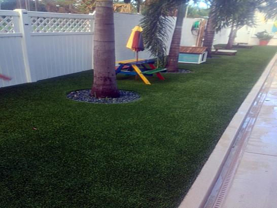 Artificial Grass Photos: Synthetic Turf Union City, New Jersey Rooftop, Backyard Designs