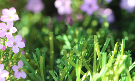 Synthetic Grass For Playgrounds