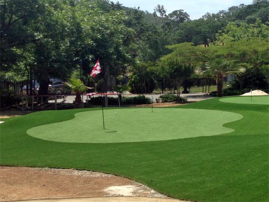 Artificial Grass Photos: Turf Grass Arcadia, California Office Putting Green, Front Yard