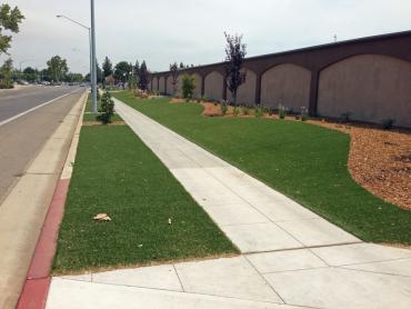 Artificial Grass Photos: Turf Grass Boise, Idaho Landscaping Business, Commercial Landscape