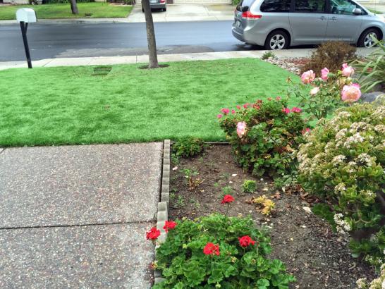 Artificial Grass Photos: Turf Grass Brentwood, New York Dog Run, Front Yard Ideas