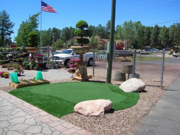 Artificial Grass Photos: Turf Grass Concord, California Garden Ideas, Commercial Landscape