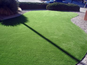 Artificial Grass Photos: Turf Grass Elizabeth, New Jersey Rooftop, Front Yard Ideas