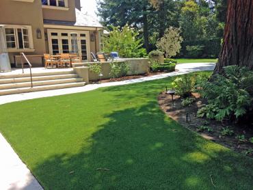 Artificial Grass Photos: Turf Grass Hollywood, Florida City Landscape, Backyard Designs