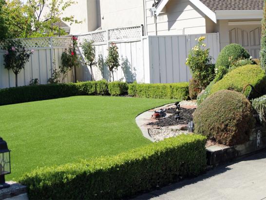 Artificial Grass Photos: Turf Grass Johnson City, Tennessee Landscape Rock, Front Yard Landscape Ideas