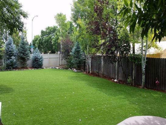 Artificial Grass Photos: Turf Grass Owensboro, Kentucky Fake Grass For Dogs, Backyard Landscaping Ideas