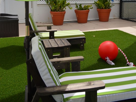 Artificial Grass Photos: Turf Grass Sherman Oaks, California Gardeners, Veranda