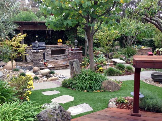 Artificial Grass Photos: Turf Grass Union City, California Lawns, Backyard