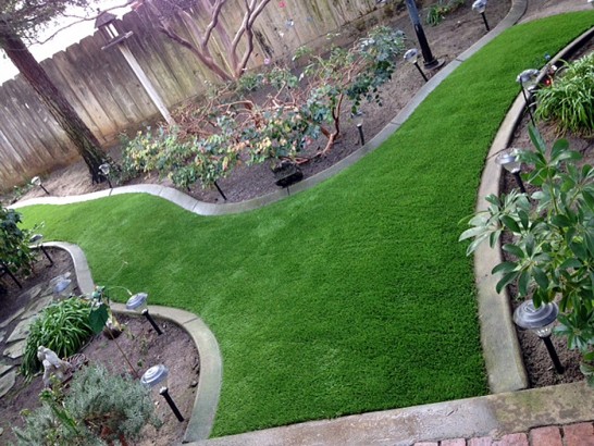 Artificial Grass Photos: Turf Grass Valdosta, Georgia Roof Top, Backyard Design