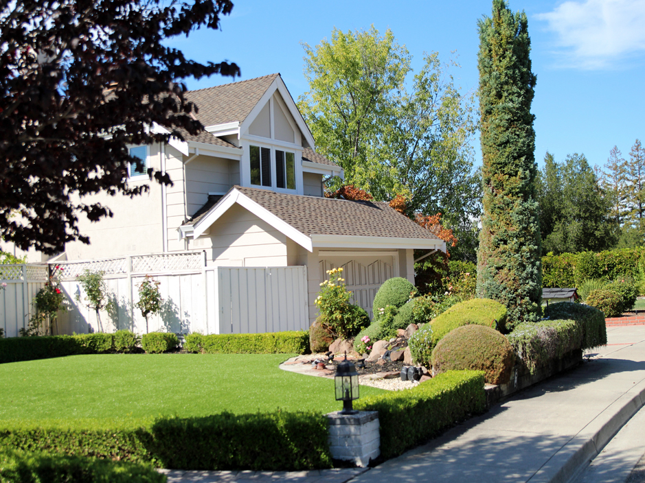 Outdoor Carpet Ogden, Utah Landscaping, Front Yard Ideas