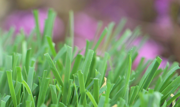 Artificial Grass Emerald-52 AllGreen Grass