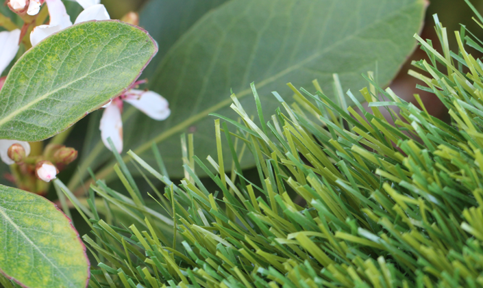 Artificial Grass Olive-60 AllGreen Grass