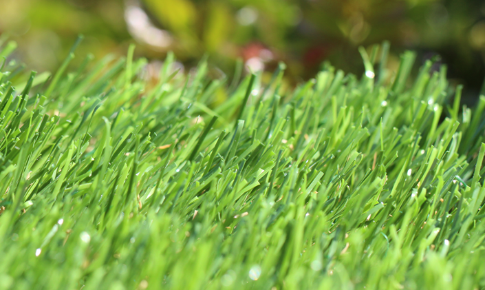 Artificial Grass Buy Synthetic Grass