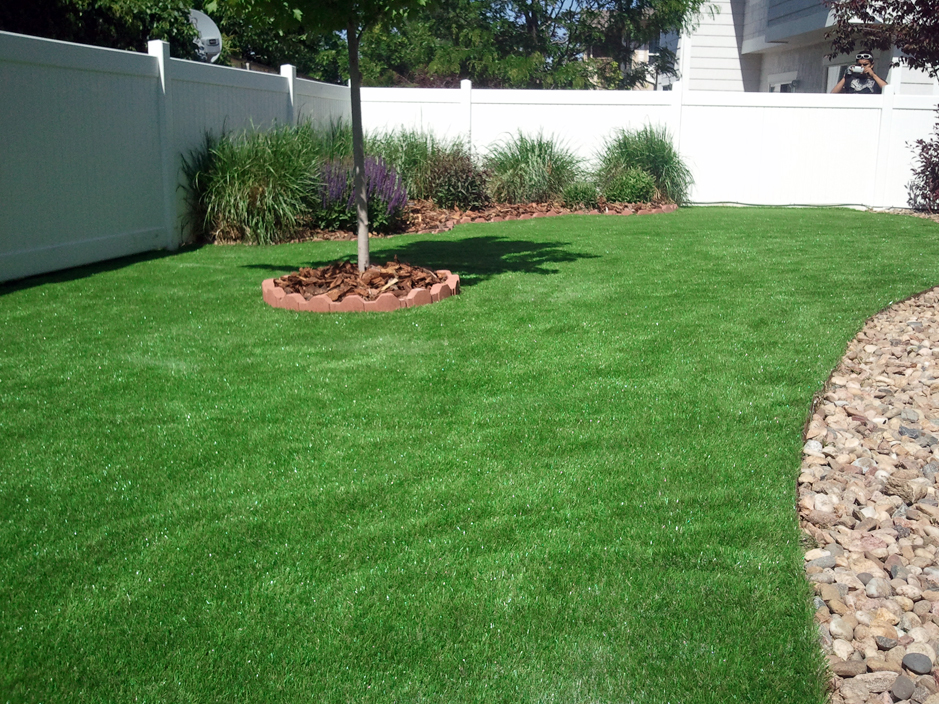 Plastic Grass Tucson, Arizona Gardeners, Backyard ...