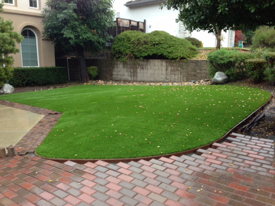 Synthetic Turf San Clemente, California Lawns, Front Yard Landscaping Ideas