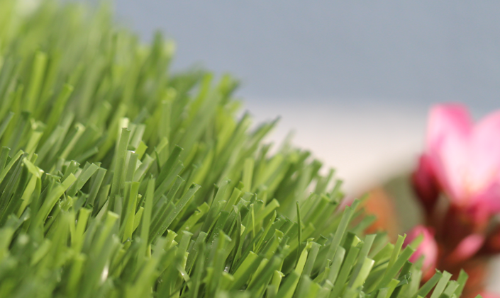 Artificial Grass Evergreen-54 Green on Green AllGreen Grass