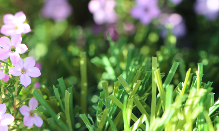 Artificial Grass S Blade 66 Green on Green AllGreen Grass